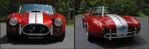 Some Pictures of our Completed Cobra